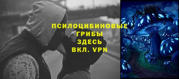 PSILOCYBIN Бородино