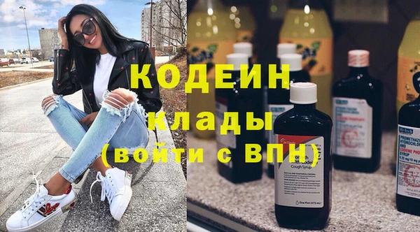 PSILOCYBIN Бородино
