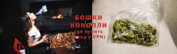 PSILOCYBIN Бородино