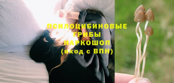 герыч Бугульма