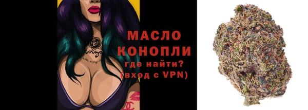 PSILOCYBIN Бородино