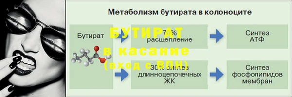 PSILOCYBIN Бородино