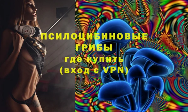 PSILOCYBIN Бородино