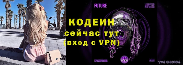 PSILOCYBIN Бородино