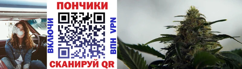 Купить где Барыш Каннабис гибрид